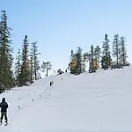 Family With Panoramic View Near Vikerfjellet *