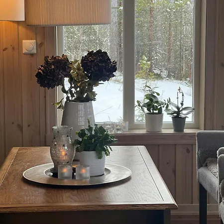 Family With Panoramic View Near Vikerfjellet Honefoss