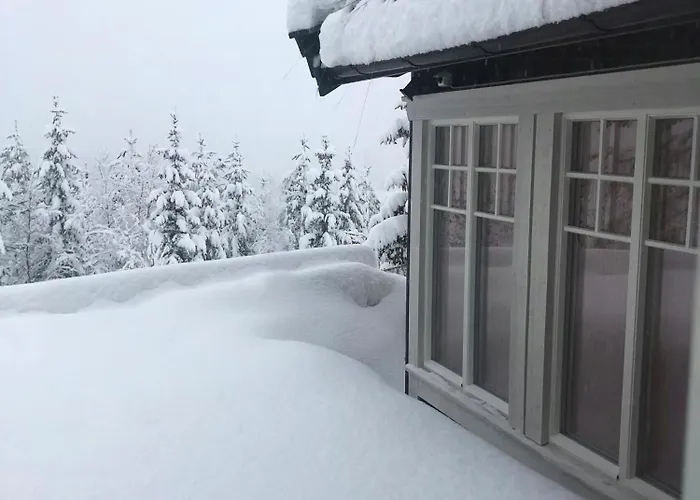 Family With Panoramic View Near Vikerfjellet Hébergement de vacances Honefoss