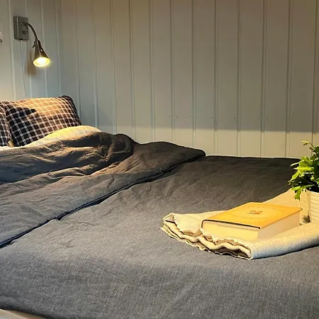 Family With Panoramic View Near Vikerfjellet * Honefoss