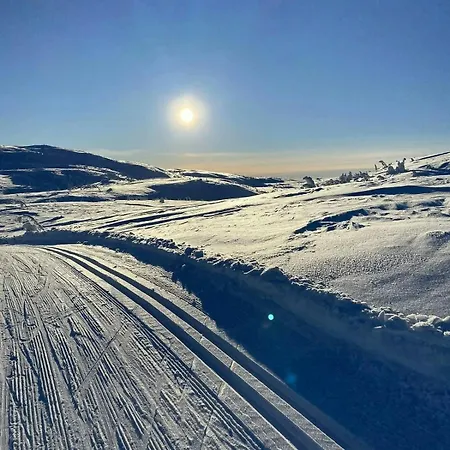 Family With Panoramic View Near Vikerfjellet * Honefoss
