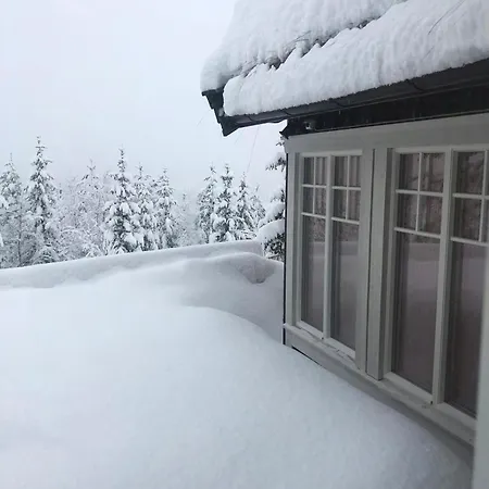 Family With Panoramic View Near Vikerfjellet Сasa de vacaciones Honefoss