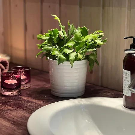 Family With Panoramic View Near Vikerfjellet * Honefoss